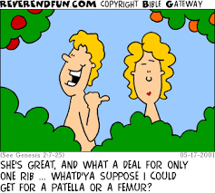 ReverendFun.com : Cartoon for May 17, 2001: "Only a Rib"