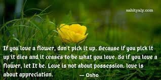You have to understand the whole phenomenon—why you are so active, why so much occupation with activity. Osho Love Quote Osho Love Osho Love You