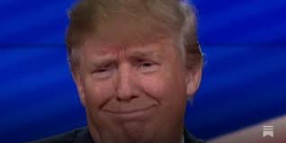 Reasons to celebrate Trump's return to Facebook