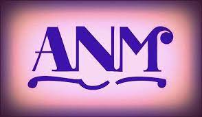 Azienda napoletana mobilità spa, more commonly known simply as anm, is a municipally controlled public company that is the primary provider. Anm Startseite Facebook