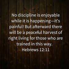 Hebrews 12 5 6 My Child Don T Make Light Of The Lord S Discipline And Don T Give Up When He Correc Prayer For My Family Uplifting Words How To Make Light