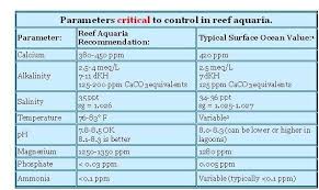 Newbie Quick Questions Reef Sanctuary