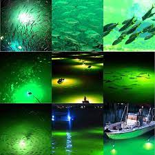 12V 14W 30W 180 LED Submersible Fishing Light Underwater Night Fishing  Finder Crappie Squid Light Lure Bait Boat Shad Shrimp Fish Finder Lamp,  Deep Drop Water Ice Fishing Attracting Light with 5M