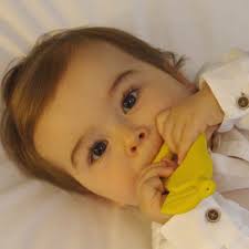 Jual Oil and Carol Chew Teether Bayi