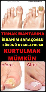 Pin On Bilgi Dagarcigi