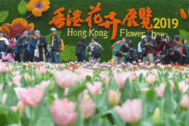 Pasar petojo ilik and petojo enclek are nearby traditional markets in relatively good condition. Hketo Jakarta On Twitter Blooming Marvellous Thousands Of Visitors Flock To The Hong Kong Flower Show Running At Victoria Park Hong Kong Until March 24 More Than 420 000 Flowers Turned The Park