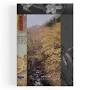 Profile Picture of Robert Knoth & Antoinette de Jong | Tree and Soil - Hartmann Books (@hartmann-books.com) on Google