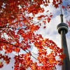 Story image for Toronto Real Estate from Move Smartly