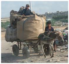 Just don't rush yourself to get it done with the very first shop you come across. Animals Free Full Text The Role And Welfare Of Cart Donkeys Used In Waste Management In Karachi Pakistan Html