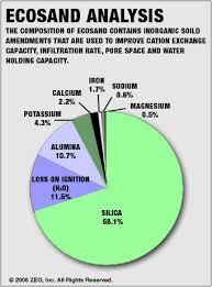 infographics pie chart with percentage values displayed