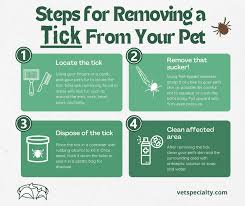 Image result for Tick Removal