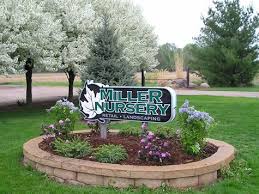 Great Guide When It Comes To Organic Gardening Useful Garden Ideas And Tips Organic Gardening Landscaping Plants Commercial Landscaping