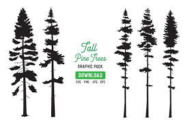 A similar option such as group and turning on your cut lines may be needed in silhouette. Tall Pine Tree Vector Graphic Bundle Graphic By The Gradient Fox Creative Fabrica