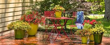 Greenfield Plant Farm In Anderson And Maineville Cincinnati Ohio Garden Plants Garden Nursery