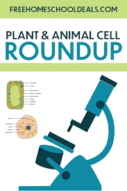 Maybe you would like to learn more about one of these? Fhd S And More Free Plant And Animal Cell Resources Free Homeschool Deals C