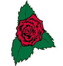 Rose tattoo look more beautiful when they design like this. Tribal Rose Tattoo Vector Images Over 500