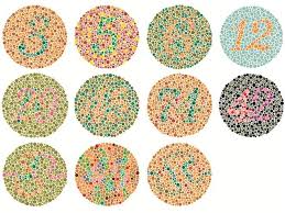 Pin On Colorblindness
