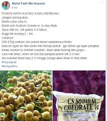 Salam tuan puan peminat tanaman dan pokok bunga cara buat baja menggunakan ajinomoto langkah langkah sudah tertera di. Cara Paksa Pokok Berbuah