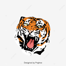 Jformiguera tigre blanco 6.5 14 de noviembre de 2011. Boca Abierta De El Tigre Tigre Tigre Siberiano Rugido Png Y Psd Para Descargar Gratis Pngtree