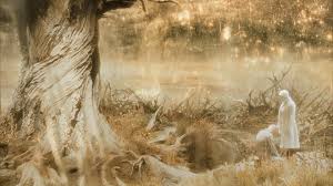 Hugh jackman david walliams stephen fry matt lucas zach galifianakis timothy olyphant. Is The Fountain A Story About Time Travel Or A Husband S Grief Science Fiction Fantasy Stack Exchange