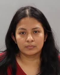 HIGGINS, MARSHA ANN Charges: EVADING ARREST DUI: FIRST OFFENSE LEAVE SCENE  OF ACCIDENT