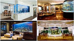 Harga dan jenis kaca aquarium : Harga Aquarium Bulat Kecil Di Malang Rismariyanto Com