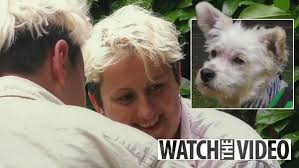 The Dog House viewers left 'crying their eyes out' as rescue pooch Grant  finally finds his 'forever home'