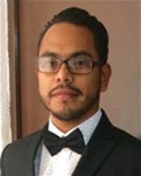 Organic dyes supported