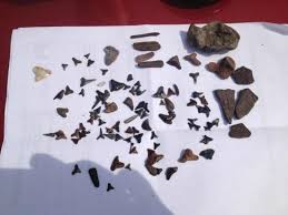 Breezy point beach & campground camping. Shark Teeth Found On The Shore Picture Of Breezy Point Beach Chesapeake Beach Tripadvisor