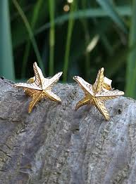 We did not find results for: Earrings Boucles D Oreilles Etoile De Mer Plaque Or Neuves Jewellery Watches Vishawatch Com