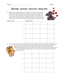 In other words, a dihybrid cross is a cross between two organisms, with both being heterozygous for two different traits. Dihybridcrossesworksheet