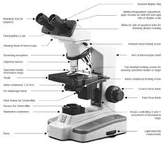 This diaphragm is located closer to the light source of the microscope. Choosing A Microscope Adafruit Industries Makers Hackers Artists Designers And Engineers