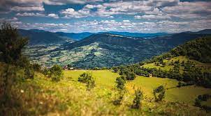 Zenica 1080p 2k 4k 5k Hd Wallpapers Free Download Wallpaper Flare