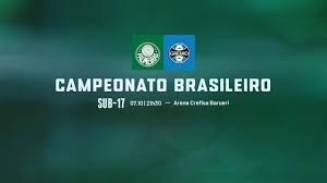 Palmeiras - News update