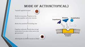 Atropine Mode Of Action Uses And Side Effects Youtube
