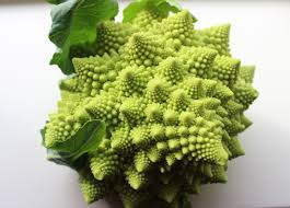 Flower Romanesco Broccoli Romanesco Cauliflower Broccoli