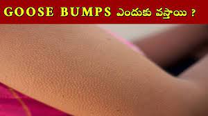 A page for describing fridge: Why Do We Get Goose Bumps In Telugu By Harsha Info Youtube