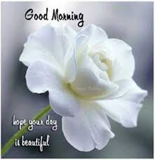 Pin By Terry On Poonam Good Morning Tuesday Good Morning Greetings Good Morning Picture
