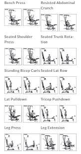 Image Result For Bowflex Workout Chart Free Download Bow
