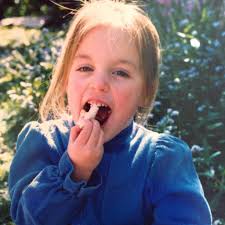 Loving these Giant Dog Loungers! 😍 i want one