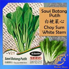 Sawi putih yokohama cocok untuk ditanam di dataran tinggi. Beli Benih Sawi Batang Putih Pada Harga Terendah Lazada Com My