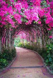ممر ورد فوتوسيشن رائع جدا beautiful landscape wallpaper flower landscape most beautiful gardens
