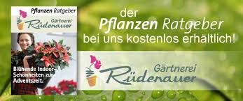 May 07, 2021 · pflanzen fürs schlafzimmer haben viele vorteile. Gartnerei Rudenauer Blaufelden Blumen Rudenauer Bad Mergentheim Pflanzen Ratgeber
