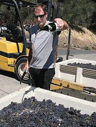 Harvest begins at Schramsberg