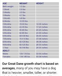 Great Dane Growth Chart Great Dane Great Dane Growth
