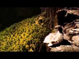 Wonderfull Chill Out Music Love Chapter 2 Hd Estrellas Chihuahua Raramuri
