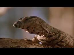 крокодил данди 1 фильм смотреть на русском полная версия Dandi Krokodil 1986 Film Smotret V Horoshem Kachestve Besplatno Onlajn Na Russkom Polnaya Versiya Youtube