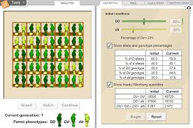 Calculate the equilibrium concentration for each species from the initial concentrations and the changes. Hardy Weinberg Equilibrium Gizmo Lesson Info Explorelearning