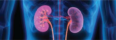 Image result for Transplant Rejection