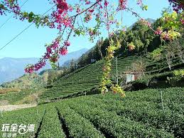 日月潭国家风景区 日月潭国家风景区 码头精品旅店（窄的让人担心被风吹倒） 邵族是台湾原住民族，主要聚居在南投县日月潭畔。传统的生活方式以渔猎、农耕、山林采集维生。现在邵族人口仅有283人, 是台湾人口最少的原住民族群，比我国的大熊猫数量还少. è‰åªé ­çŽ‰å±±è§€å…‰èŒ¶åœ'å—æŠ•æ™¯é»žçŽ©å…¨å°ç£æ—…éŠç¶²
